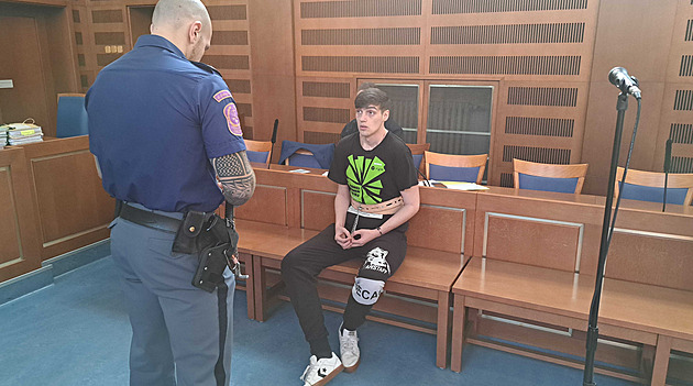 Výjimečný trest za upálení seniora v domě přezkoumá Ústavní soud