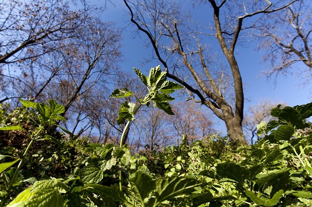 První předpověď počasí na Velikonoce. Teploty už nebudou nadprůměrné