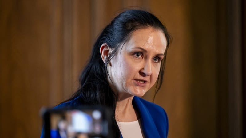 Klempíř odvolal generální ředitelku Národní galerie. Knastovou prozatím nahradí Kotková