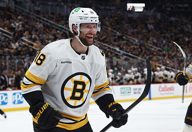 Je to mnohem větší zábava. Zacha si libuje v bojích o play off, v Bostonu dozrál v lídra